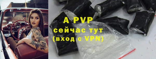 индика Сатка