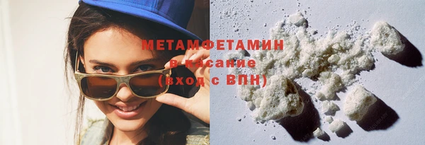прущие грибы Сафоново