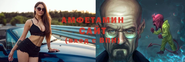 индика Сатка