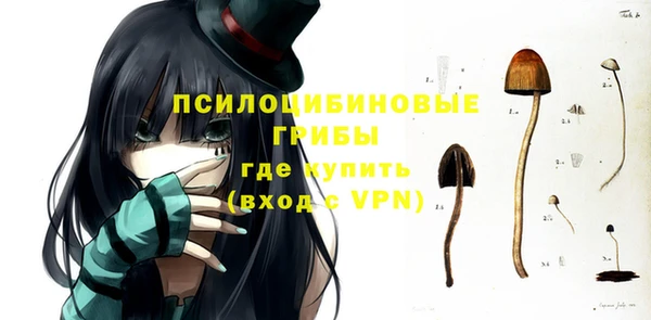 прущие грибы Сафоново