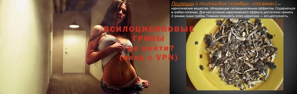индика Сатка