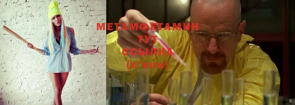 индика Сатка