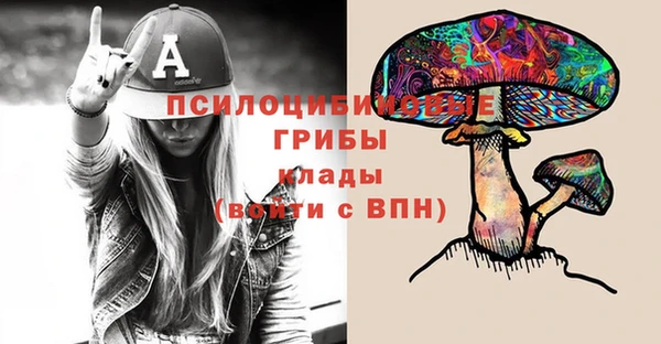 индика Сатка