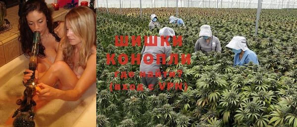 прущие крисы Дубна