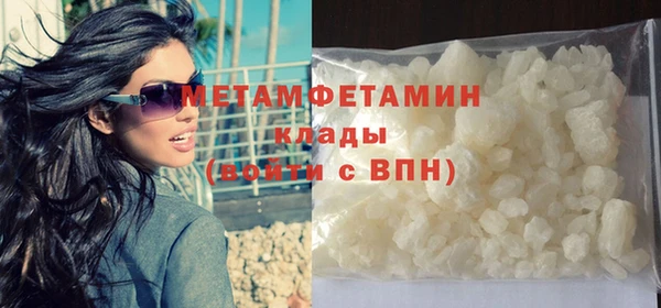 прущие грибы Сафоново
